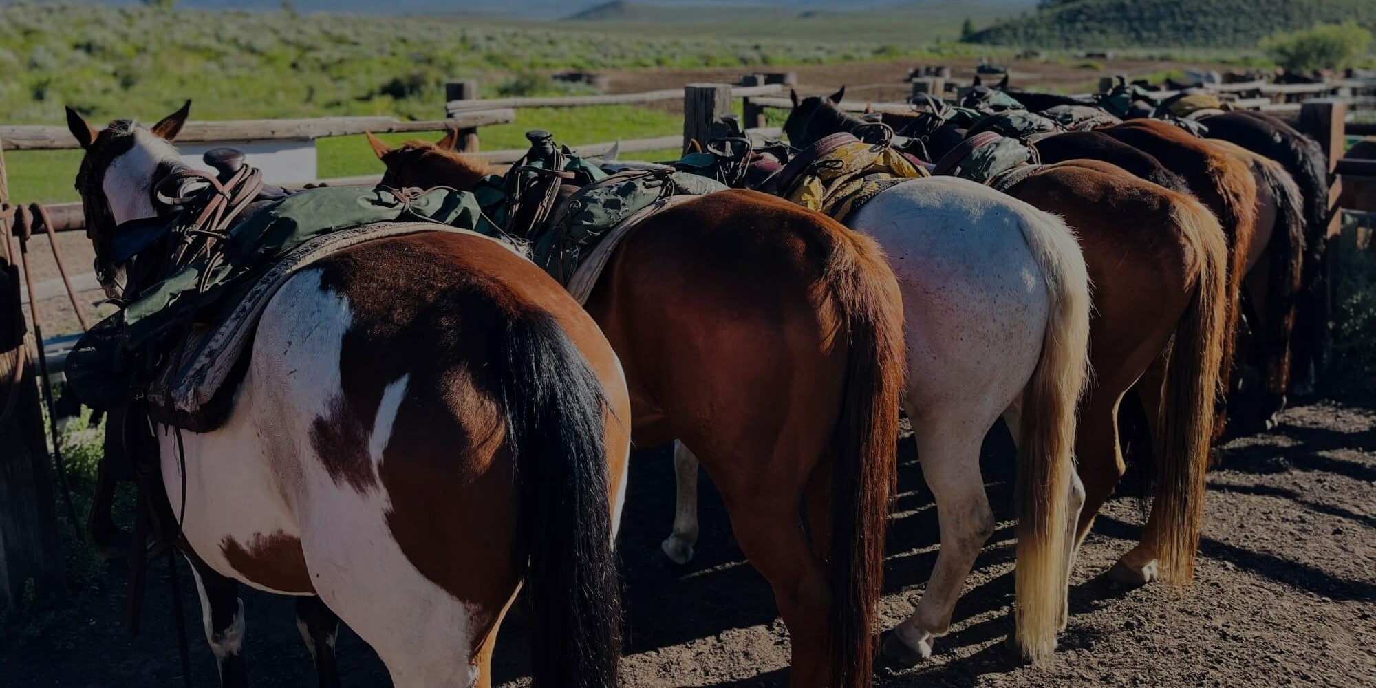 apply for employment at rusty spurr ranch in colorado resized