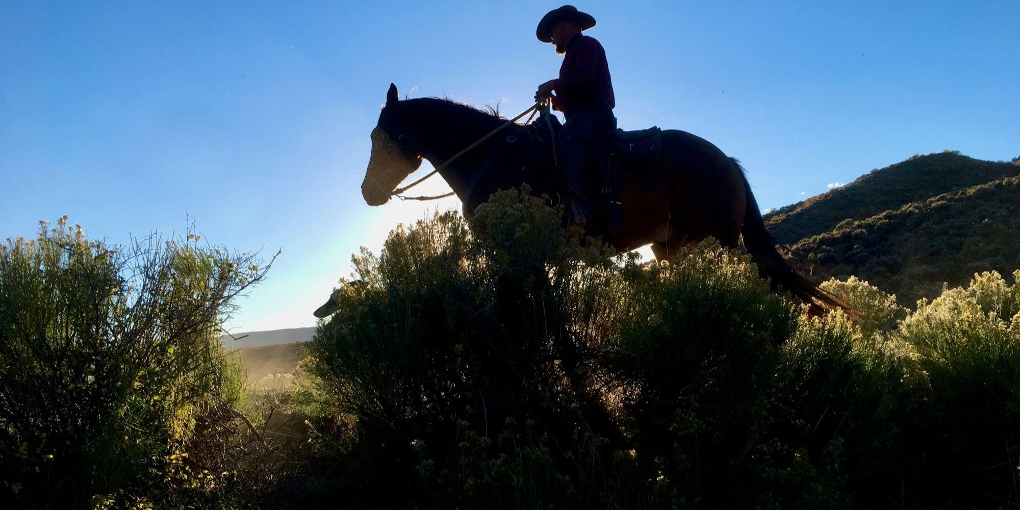 rusty spurr ranch about us resized